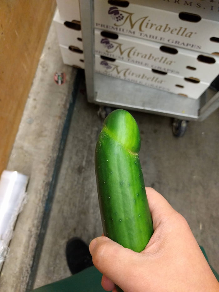carl merica add photo how to have sex with a cucumber