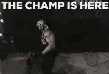don slim recommends the champ is here gif pic
