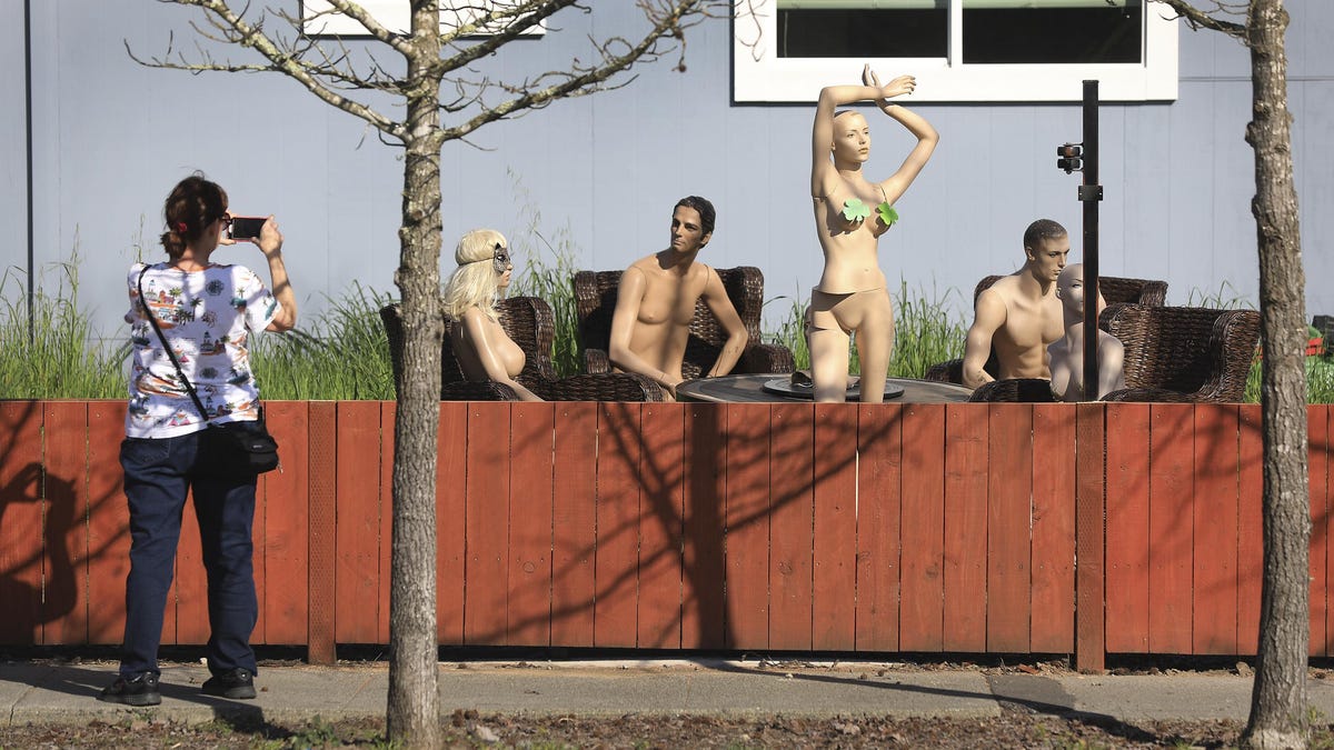 dariush alamdari recommends forced public nudity pic