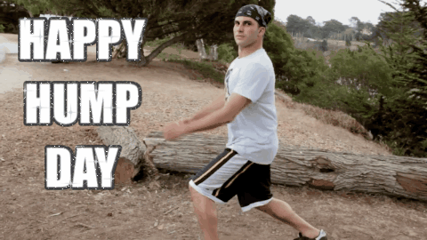 charine cheung recommends hump day gif dirty pic