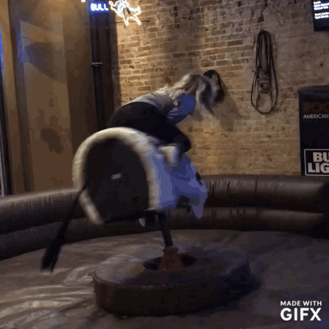 anthony hagerty recommends Bull Riding Gif Funny