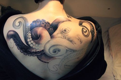 cameron konicek recommends girl with the octopus tattoo pic