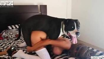 abeer moon recommends Dogs Fucking Women Pictures