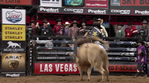 anto sugi recommends bull riding gif funny pic