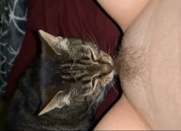 donna parkes add photo cat lick my pussy