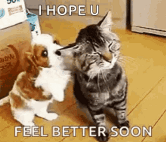 buffie johnson recommends Hope Your Day Gets Better Gif