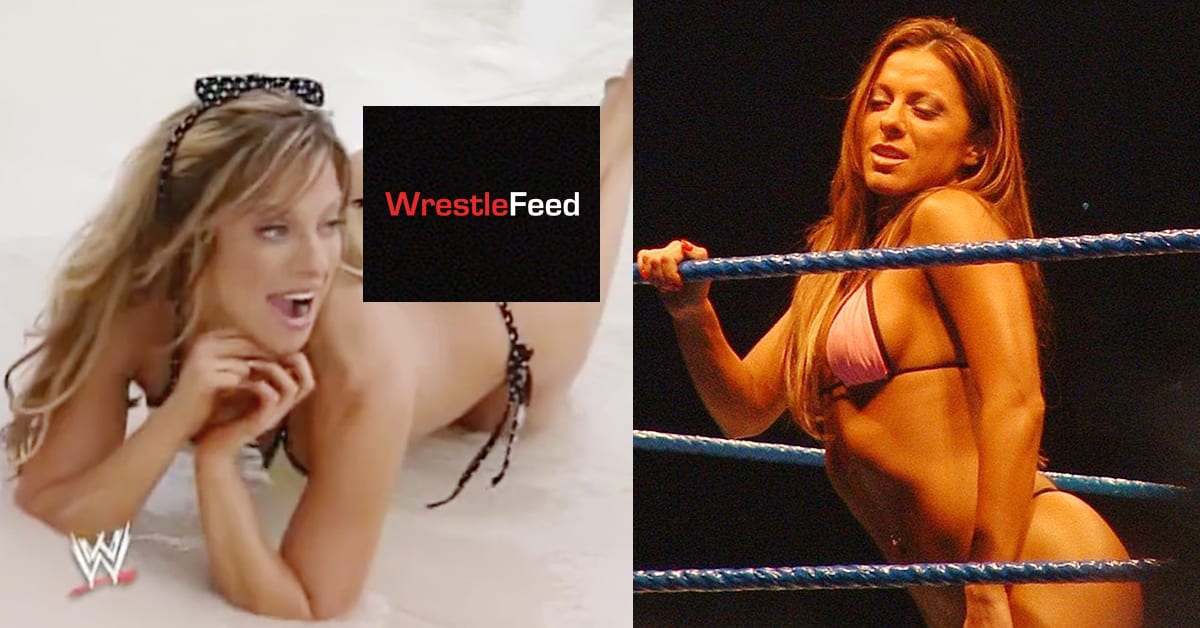 braam kruger recommends dawn marie wwe hot pic