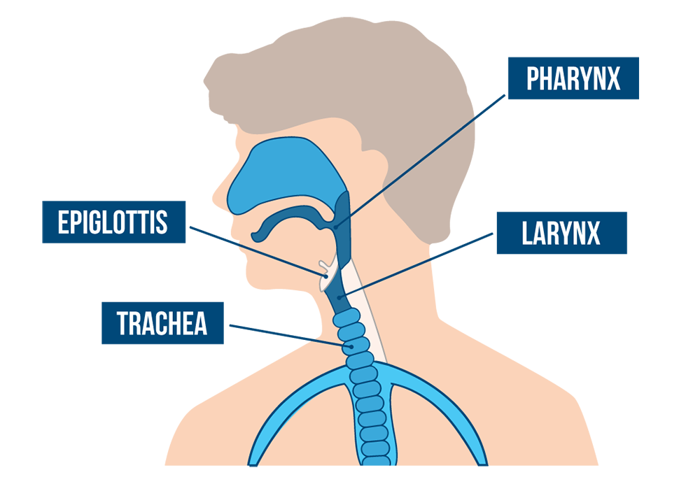 bill horak recommends how to learn to deep throat pic