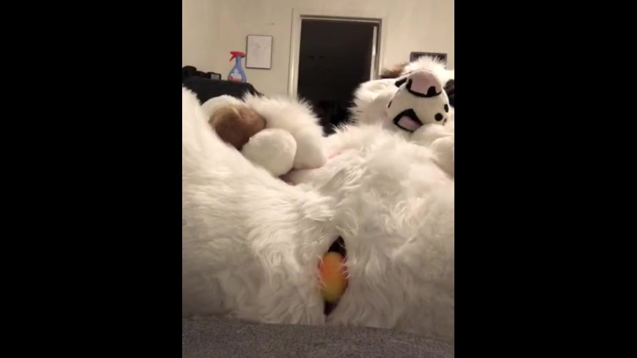 Best of Furry egg laying porn
