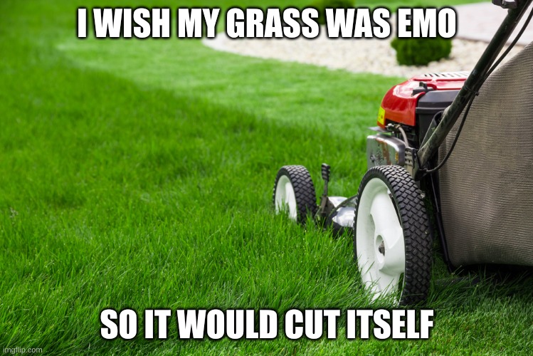 adrian huh recommends lawn mower meme pic