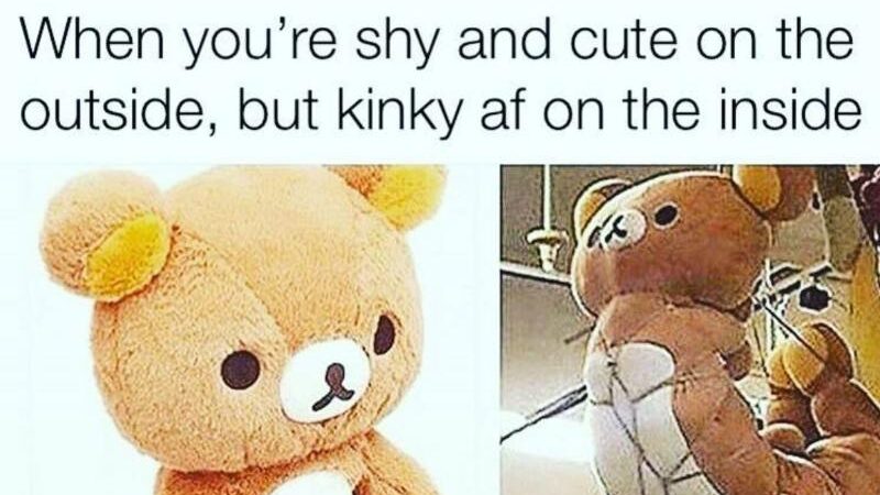 don hunt recommends kinky sex memes pic