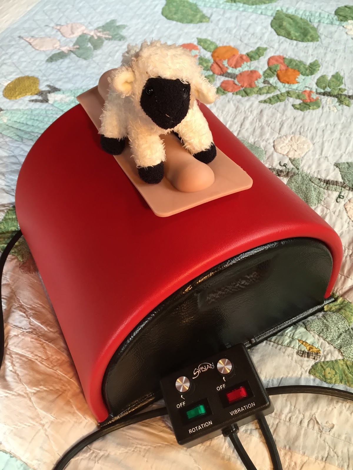How A Sybian Works with pov