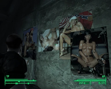 Fallout 3 Porn Mod lords gifs