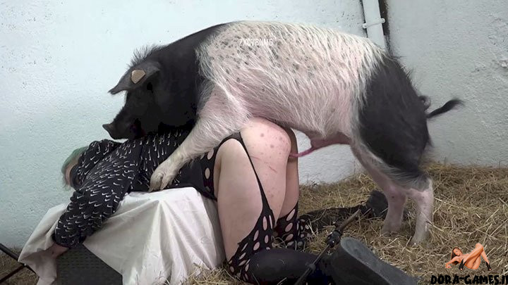 bradley bearden share amateur female fuck pigs photos