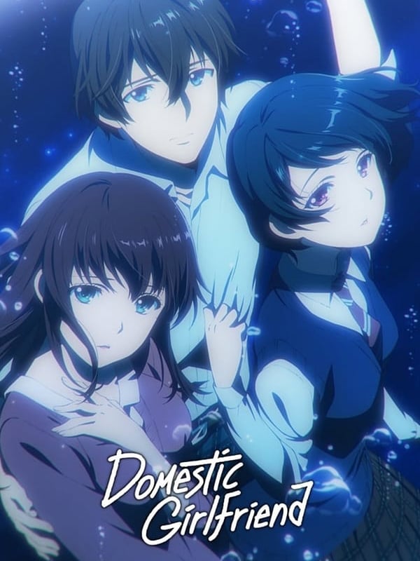 christine boots recommends Anime Like Domestic Girlfriend
