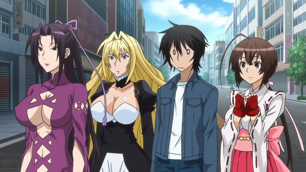 den flores recommends anime like infinite stratos pic