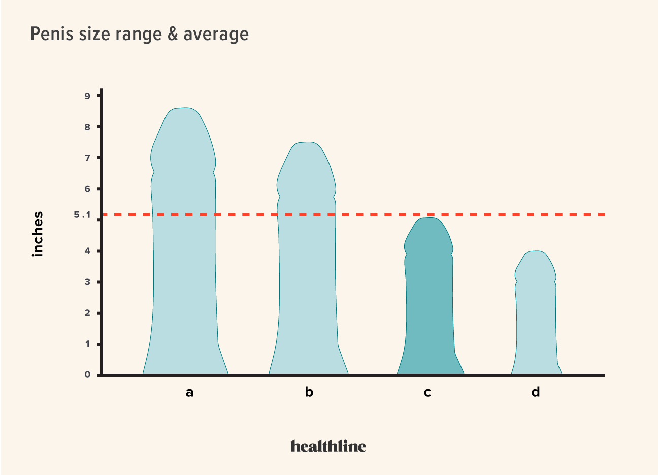 annemie nel recommends Average Size Cock Pics