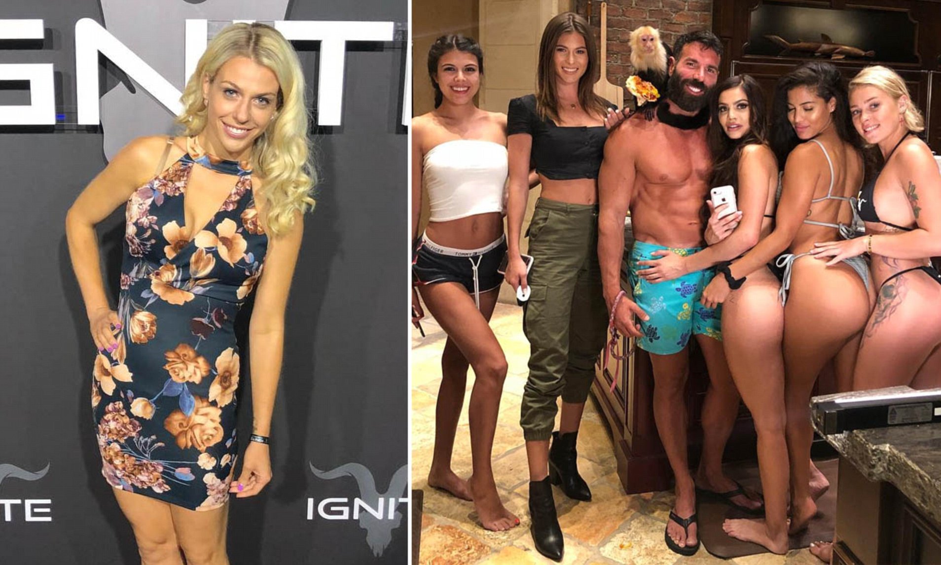 crystal correll share dan bilzerian sex party photos