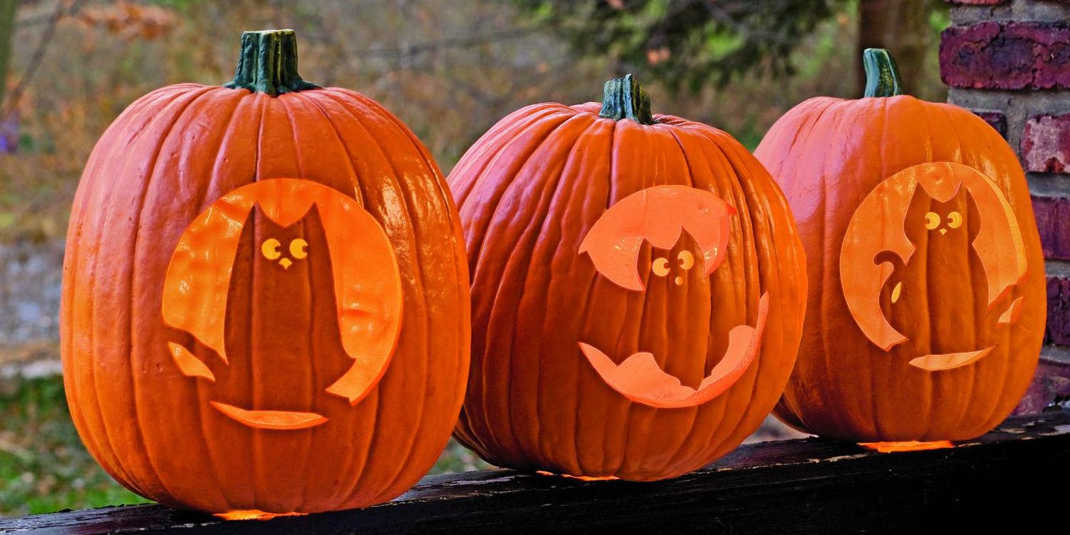 divine quinto recommends sexual pumpkin carving patterns pic