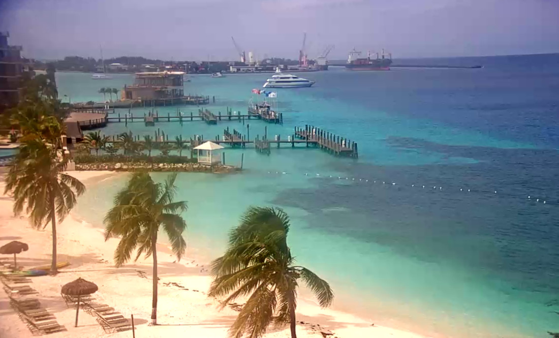 dennis dollete recommends bahamas live web cams pic