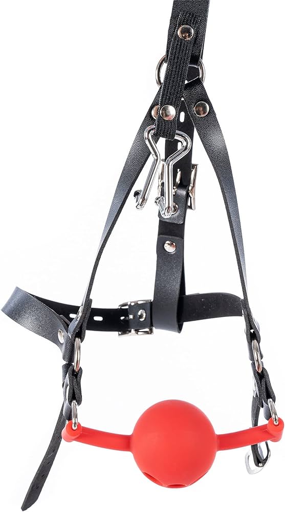 daniel enders recommends ball gag harness pic