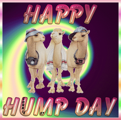 agoez setiawan recommends good morning happy hump day gif pic