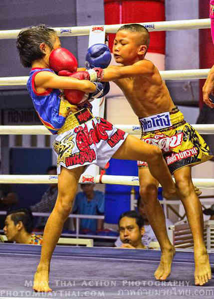 boy vs girl boxing