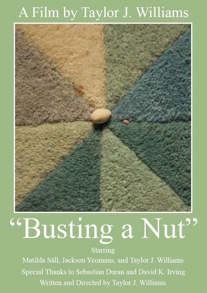 ali rastgoo recommends Busting A Nut