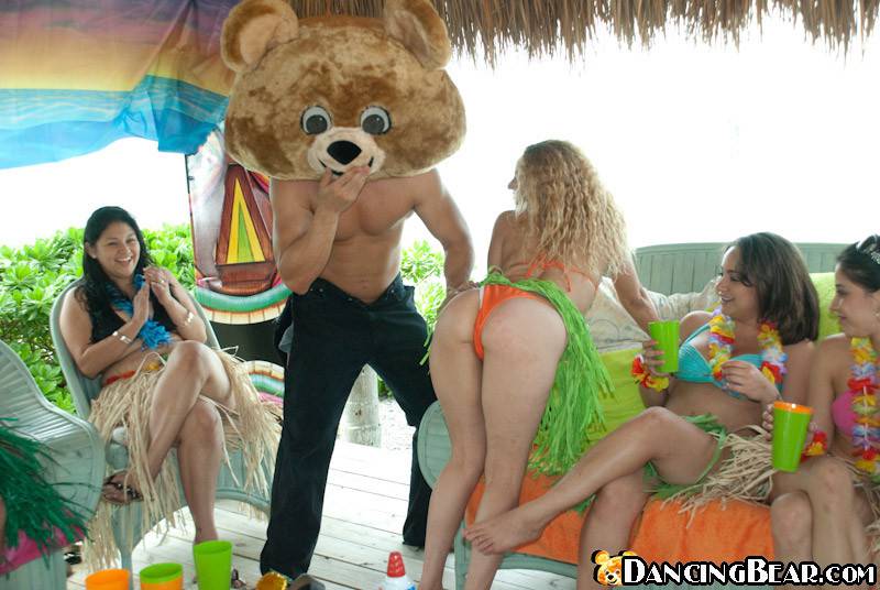 ariel balbin recommends the dancing bear stripper pic