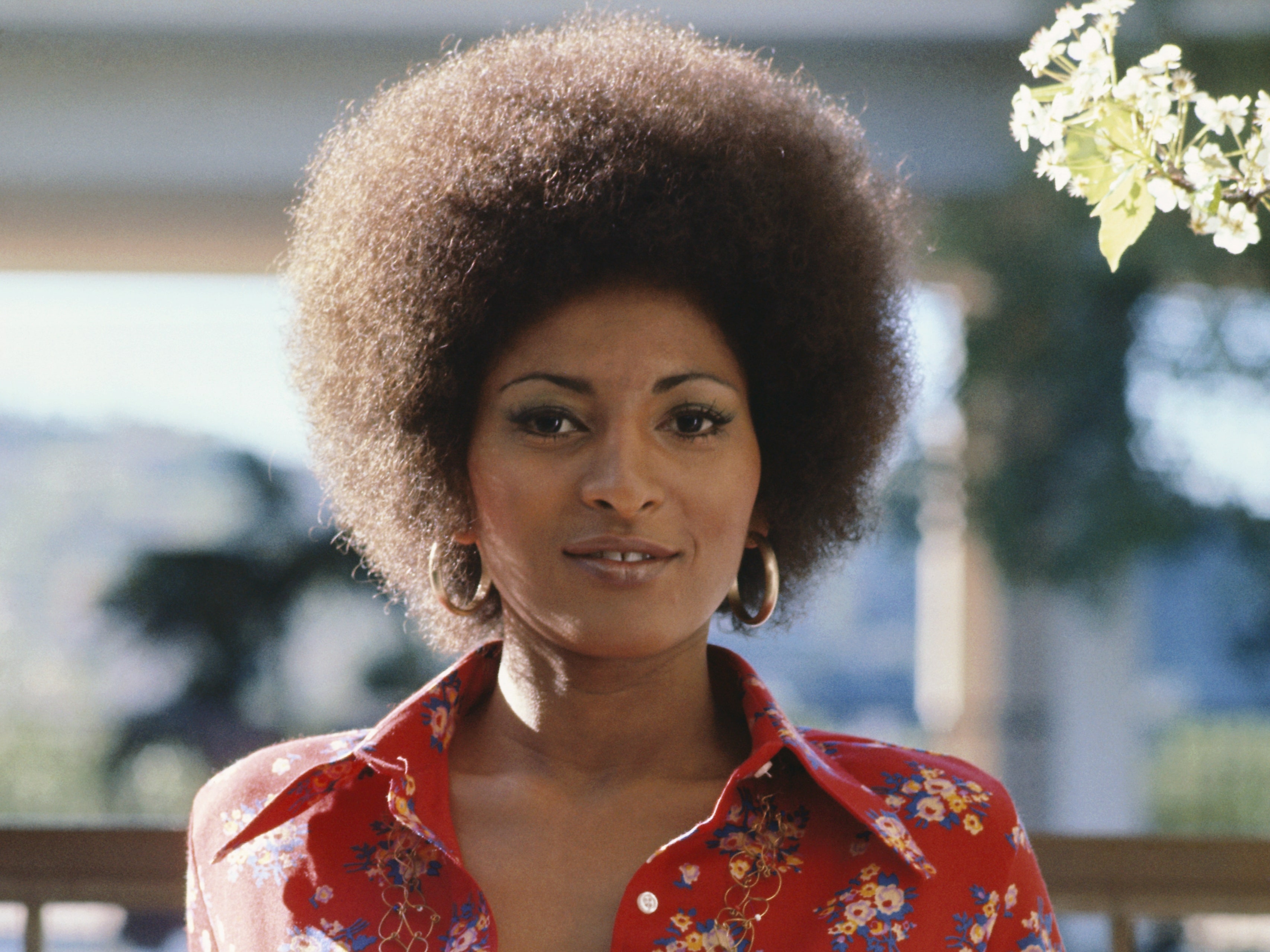 Best of Pam grier sexy