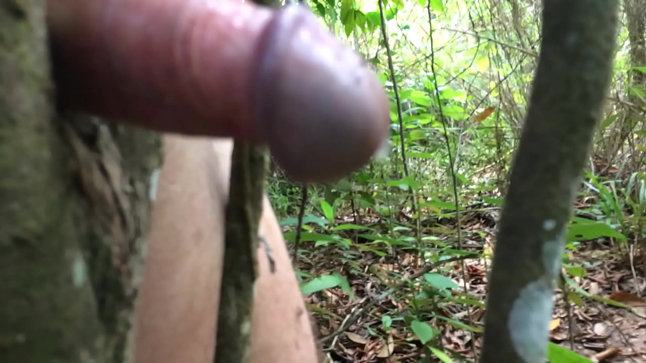 alan lester share fucked by a tree photos