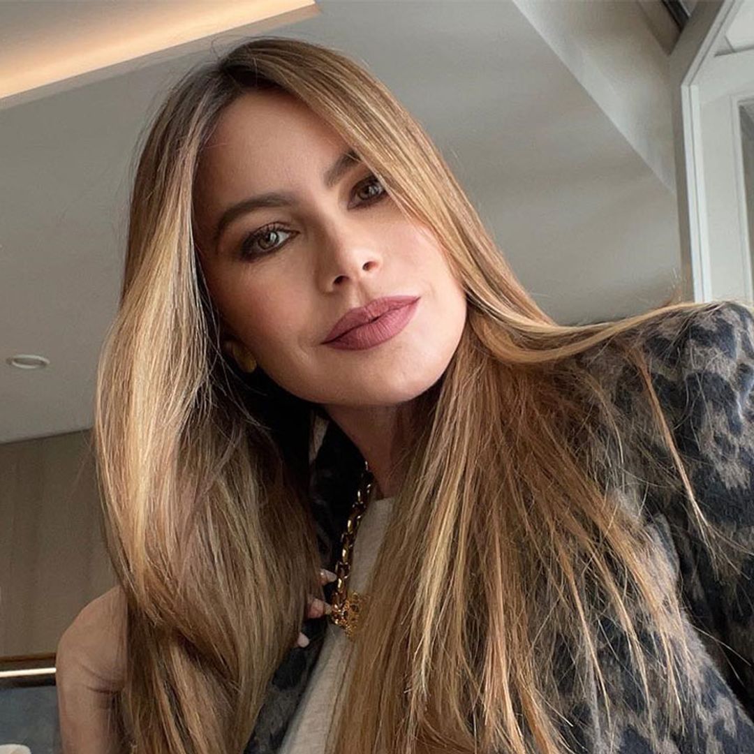 cindy herrera recommends sofia vergara look alike pic