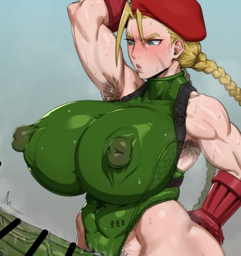 athea smith recommends cammy street fighter porn pic