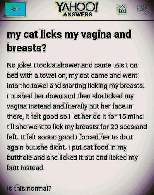 cat lick my pussy