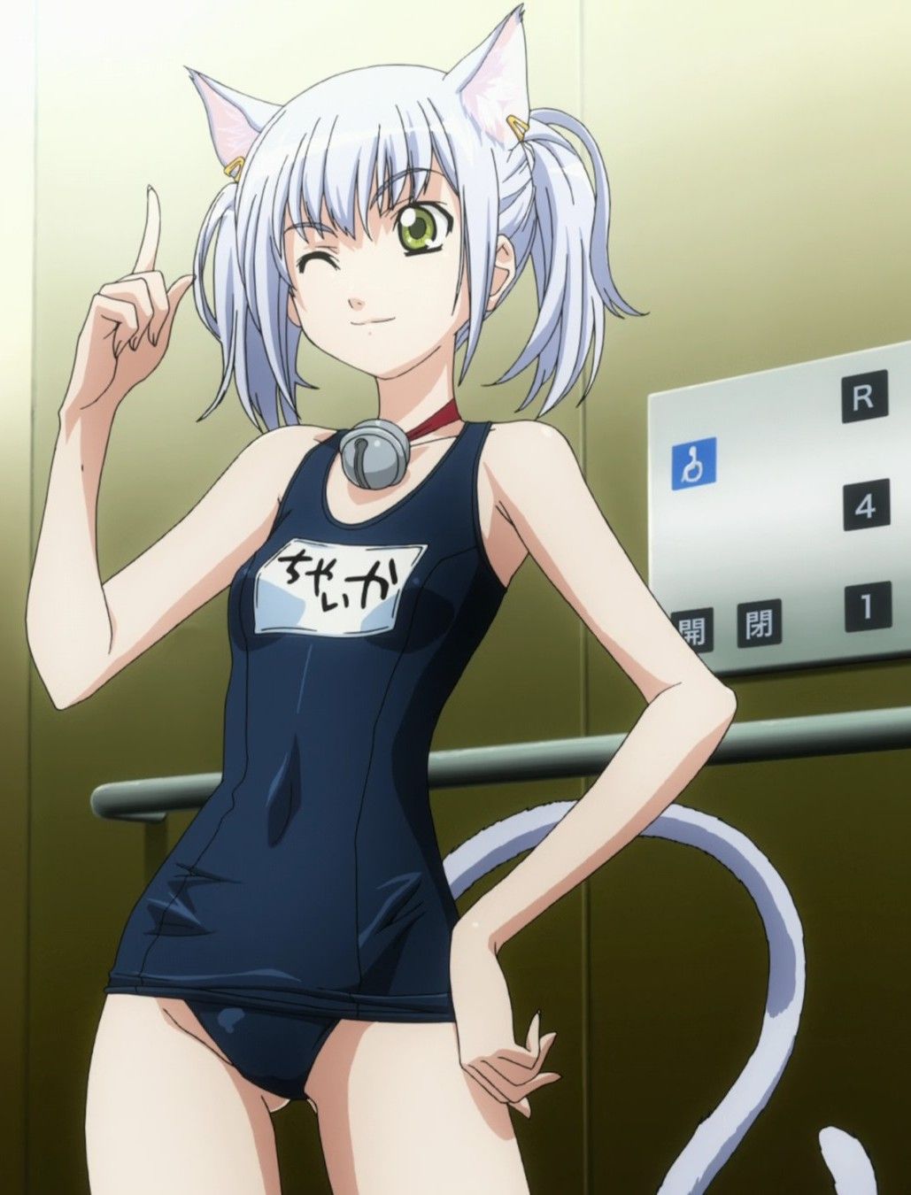 carrie ann rogers recommends cat planet cuties chaika pic