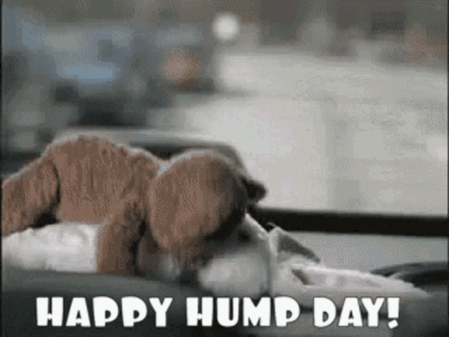 cuong vong recommends Hump Day Gif Dirty