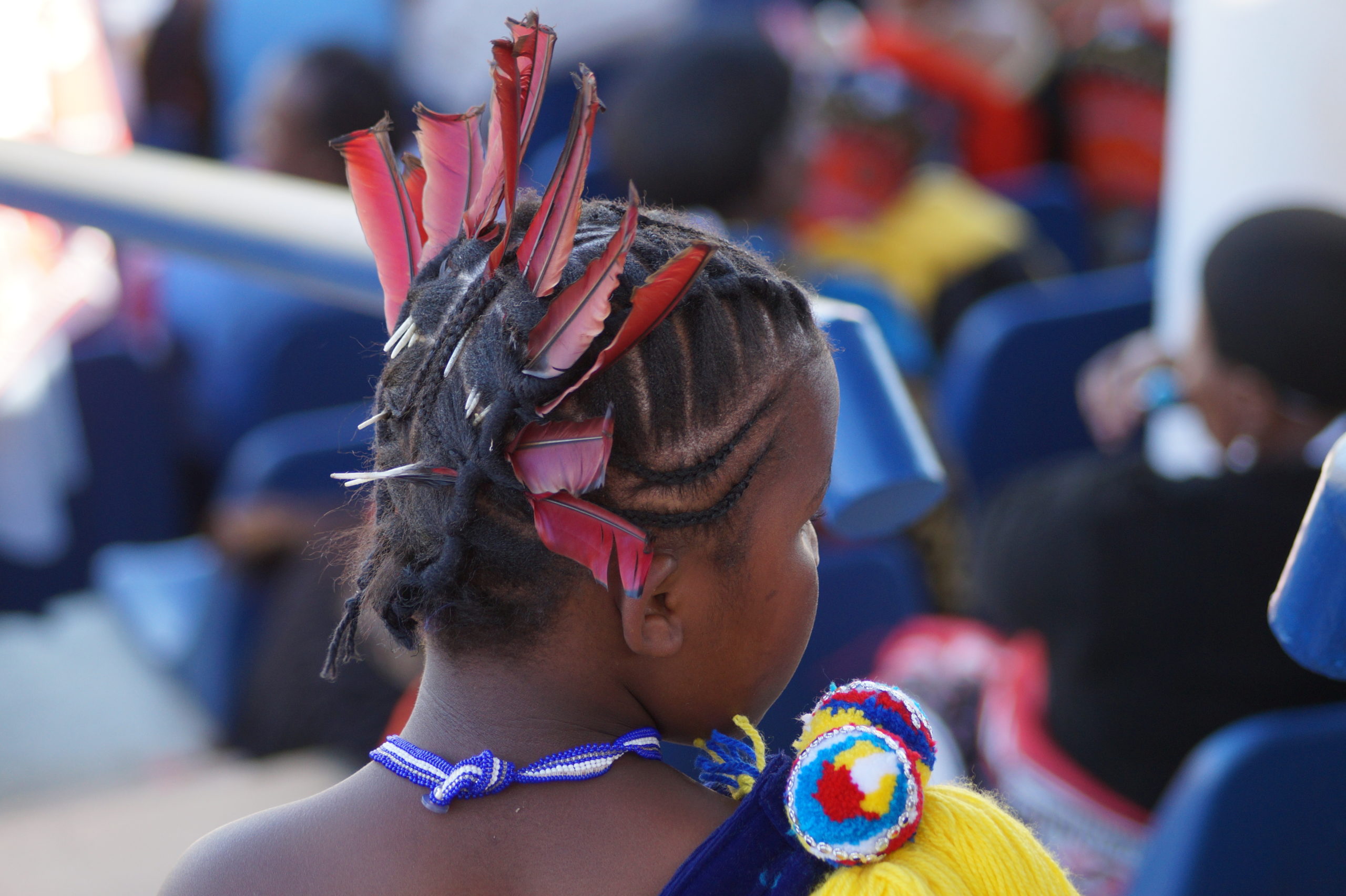 aryo jipang recommends reed dance 2020 pic