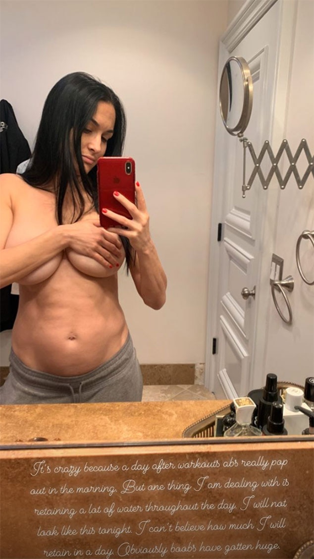 basher jones recommends nikki bella boob slip pic