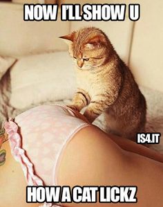 divvi naga venkata satish recommends Sexy Pussy Memes