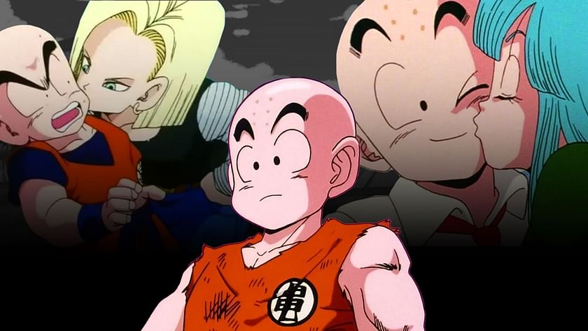 dan zaccardi add krillin x android 18 photo