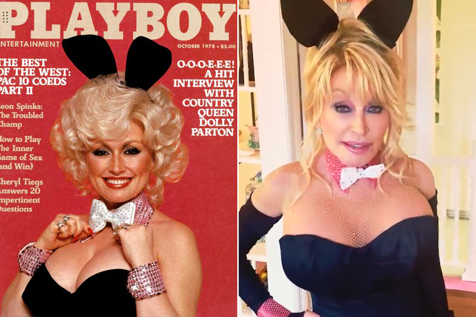 dolly parton boobs real