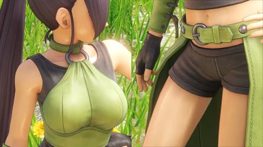 dave deeter recommends dragon quest 11 nude mod pic