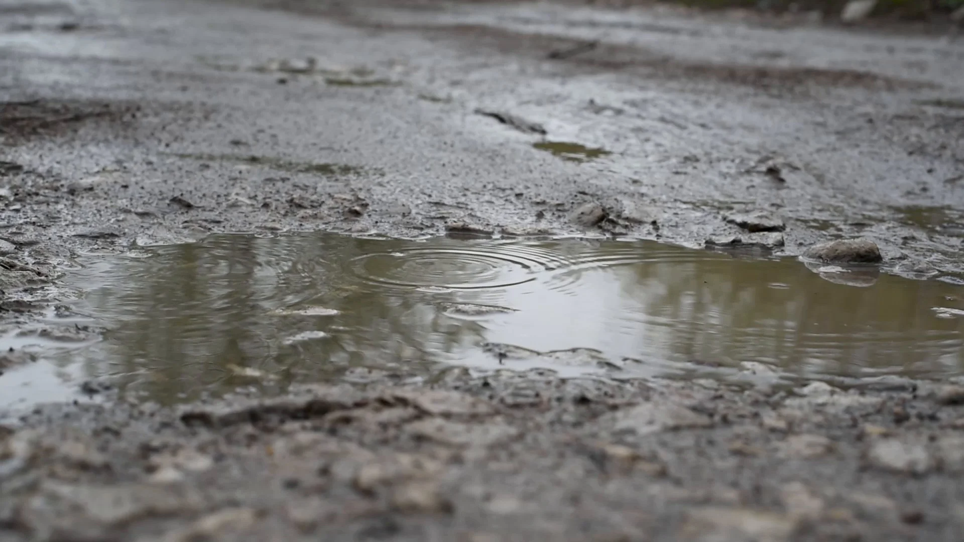mud puddle visuals videos