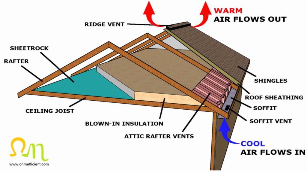 davie king recommends Blown Through The Roof