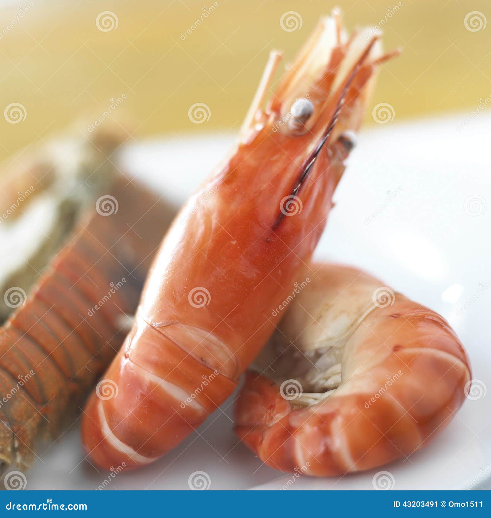 darrell pinkerton add is shrimp an aphrodisiac photo