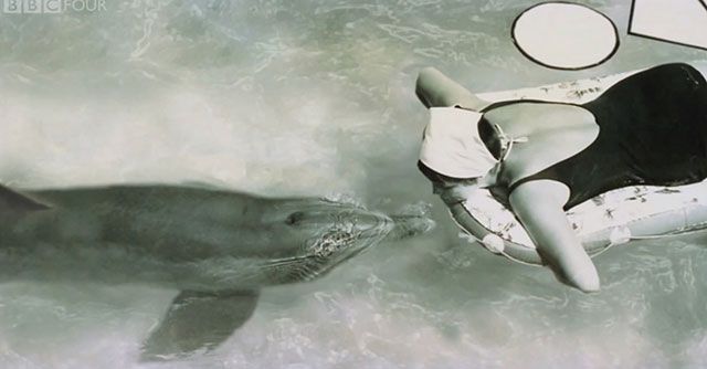 cindy clemens share dolphin fucks woman photos