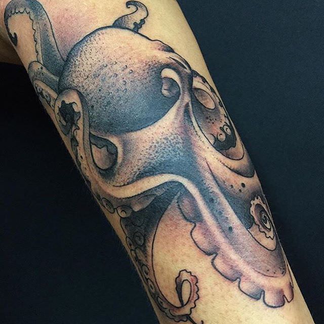 anthony hallak add photo girl with the octopus tattoo