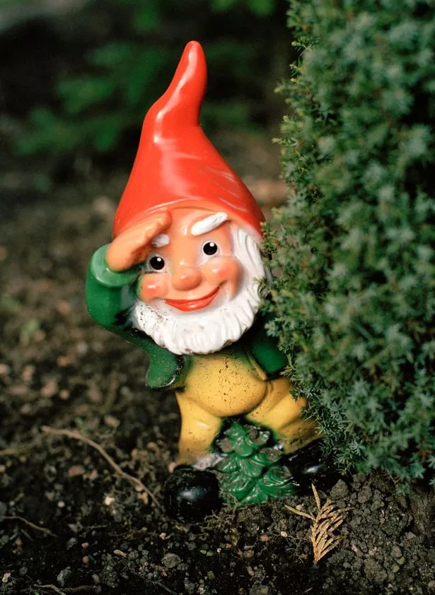 donna coletti recommends Gnome In Front Yard Swinger