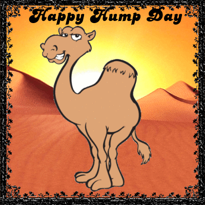 Best of Good morning happy hump day gif