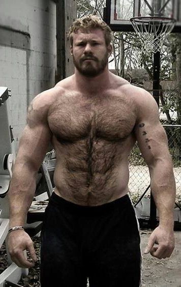 doug henson add hairy muscle dad photo